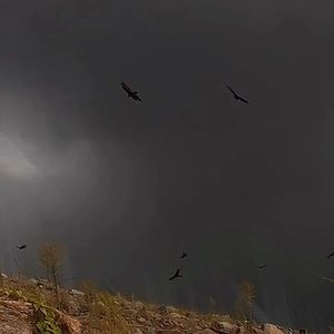 Meet your Posher, Adam